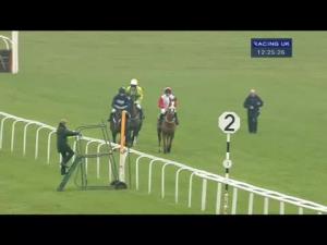 Video preview image for Newbury 12:25 - Bet365 Novices' Hurdle