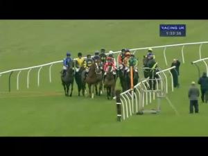 Video preview image for Newbury 13:30 - bet365.com Novices' Handicap Hurdle