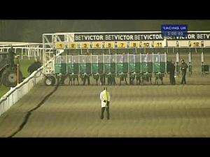 Video preview image for Kempton Park 17:05 - 25 Free Bet At betvictor.com Maiden Fillies' Stakes (Div 2)