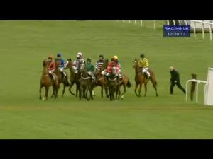 Video preview image for Newbury 12:30 - Q Associates Juvenile Hurdle