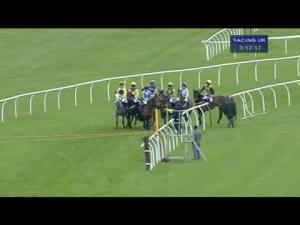 Video preview image for Newbury 15:15 - Inkerman E.B.F. Mares' 'National Hunt' Novices' Hurdle