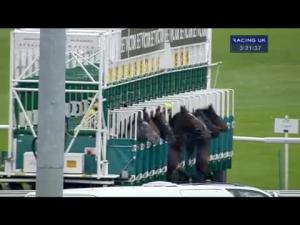 Video preview image for Kempton Park 15:20 - Cheltenham 2014 Nrrb At betvictor.com Maiden Stakes (Div 1)