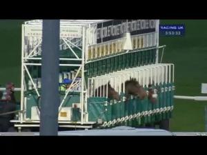 Video preview image for Kempton Park 15:50 - Cheltenham 2014 Nrrb At betvictor.com Maiden Stakes (Div 2)