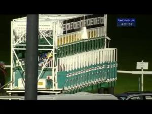 Video preview image for Kempton Park 16:20 - Book Christmas Festival Tickets Now Handicap
