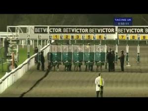 Video preview image for Kempton Park 16:50 - Back Of The Net At betvictor.com Nursery