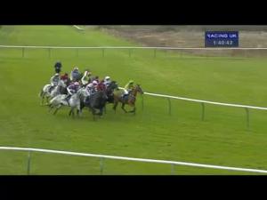 Video preview image for Warwick 13:40 - Citizens Advice Solihull Handicap Chase