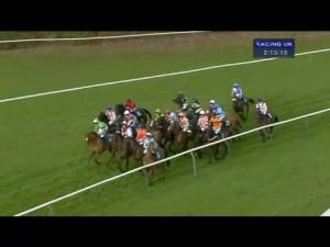 Video preview image for Warwick 14:10 - Solihull - Town In The Country Maiden Hurdle