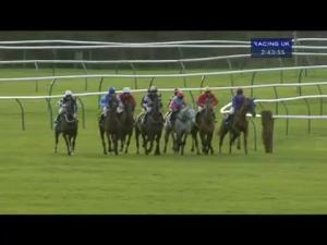 Video preview image for Warwick 14:40 - Celebrating Solihull Handicap Chase