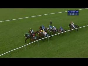 Video preview image for Warwick 15:10 - Mayor's Charity Fund Supporting Solihull Charities Handicap Hurdle