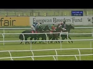 Video preview image for Huntingdon 14:00 - Betfred Peterborough Chase (Grade 2)