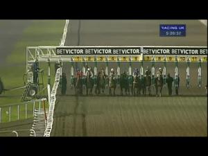 Video preview image for Kempton Park 17:20 - Cheltenham 2014 Nrfb At betvictor.com Nursery