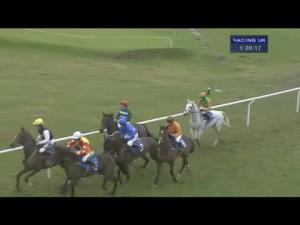 Video preview image for Ludlow 13:20 - Tanners Champagne Handicap Chase