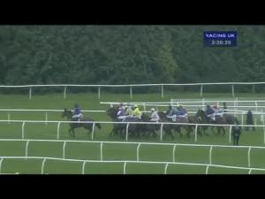 Video preview image for Newbury 15:20 - Kentford Racing Fillies' 'Junior' Standard Open NH Flat Race