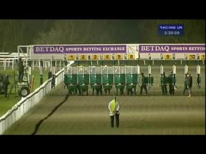 Video preview image for Kempton Park 17:20 - Betdaq 1st UK Race Commission Free Selling Stakes