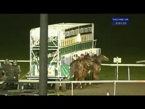 Video preview image for Kempton Park 17:00 - kempton.co.uk Maiden Stakes