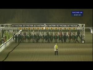 Video preview image for Kempton Park 18:00 - Cheltenham 2014 Nrfb At betvictor.com Median Auction Maiden Stakes
