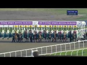 Video preview image for Kempton Park 16:10 - Betdaq - The Sports Betting Exchange Handicap
