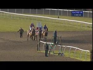 Video preview image for Kempton Park 13:00 - williamhill.com Novices' Hurdle
