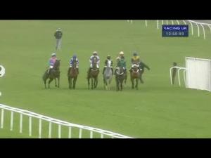 Video preview image for Newbury 12:50 - Betfred TV Juvenile Hurdle