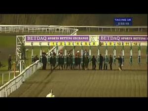 Video preview image for Kempton Park 17:55 - Betdaq - The Sports Betting Exchange Handicap