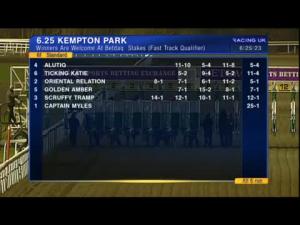 Video preview image for Kempton Park 18:25 - Winners Are Welcome At Betdaq Conditions Stakes (Fast Track Qualifier)