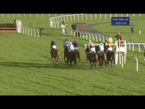 Video preview image for Wincanton 14:20 - Higos Insurance Services Somerset National Handicap Chase
