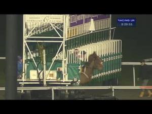 Video preview image for Kempton Park 20:20 - Betdaq 1st UK Race Commission Free Handicap