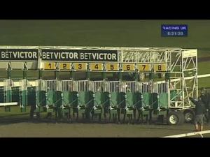 Video preview image for Kempton Park 18:20 - Cheltenham 2014 Nrnb At betvictor.com Classified Claiming Stakes