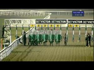 Video preview image for Kempton Park 19:20 - Download The BetVictor App Now Handicap