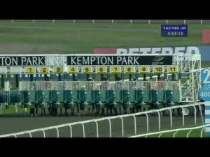 Video preview image for Kempton Park 16:50 - Kempton Park Chase Day 22.02.14 Handicap