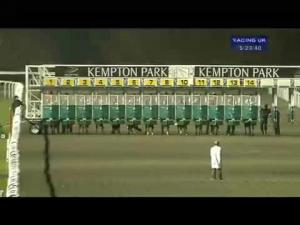 Video preview image for Kempton Park 17:20 - Mix Business With Pleasure At Kempton Handicap