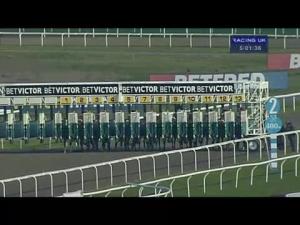 Video preview image for Kempton Park 17:00 - Turftv Handicap
