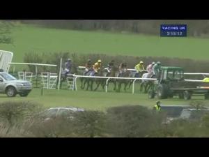 Video preview image for Ludlow 15:15 - Michael Lumsden Memorial Mares' Handicap Hurdle (For The Henley Hall Gold Cup)
