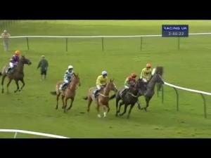 Video preview image for Warwick 14:40 - Star Sports Kingmaker Novices' Chase (Grade 2)