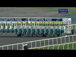 Video preview image for Kempton Park 17:15 - Book Now For Jump Racing 22.02.14 Apprentice Handicap