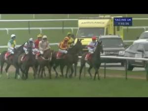 Video preview image for Haydock Park 13:45 - Betfred 'Goals Galore' Victor Ludorum Juvenile Hurdle