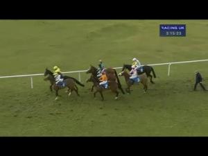 Video preview image for Ludlow 15:15 - Weatherbys Hamilton Insurance Handicap Chase