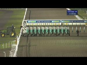 Video preview image for Kempton Park 18:55 - Betbright Chase Day 22.02.14 Handicap (Div 2)