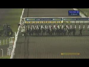 Video preview image for Kempton Park 19:25 - Betbright - Live The Moment Handicap