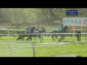 Video preview image for Wincanton 14:20 - Higos For All Your Commercial Needs Mares' Novices' Hurdle