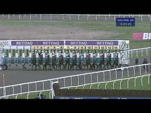 Video preview image for Kempton Park 17:20 - Betdaq - The Sports Betting Exchange Handicap