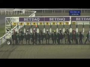 Video preview image for Kempton Park 17:50 - Book Now For Silver Cups Day 15.03.14 Handicap