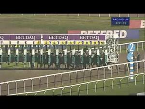 Video preview image for Kempton Park 18:50 - Mix Business With Pleasure At Kempton Handicap