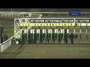 Video preview image for Kempton Park 20:00 - Cheltenham 2014 Nrfb At betvictor.com Handicap