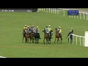 Video preview image for Newbury 13:45 - Floor V Davis Hl1979 Juvenile Hurdle