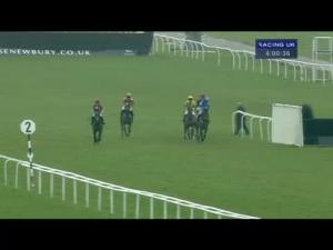 Video preview image for Newbury 16:00 - Rr Elite Novices' Handicap Hurdle (In Aid Of West Berkshire Mencap)