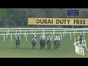 Video preview image for Newbury 16:25 - Greatwood Novices' Limited Handicap Chase (For The Jacky Upton Trophy)