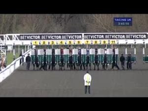 Video preview image for Kempton Park 15:45 - Download The BetVictor App Now Handicap