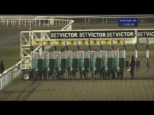 Video preview image for Kempton Park 19:25 - Back Of The Net At betvictor.com Median Auction Maiden Stakes