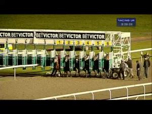 Video preview image for Kempton Park 20:25 - Download The BetVictor App Now Fillies' Handicap